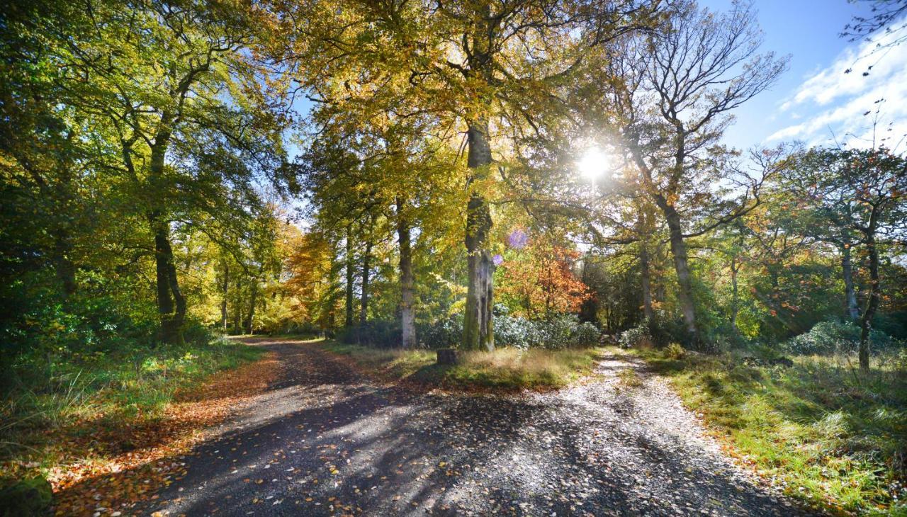 Loch Lomond Finnich Cottages Drymen Luaran gambar